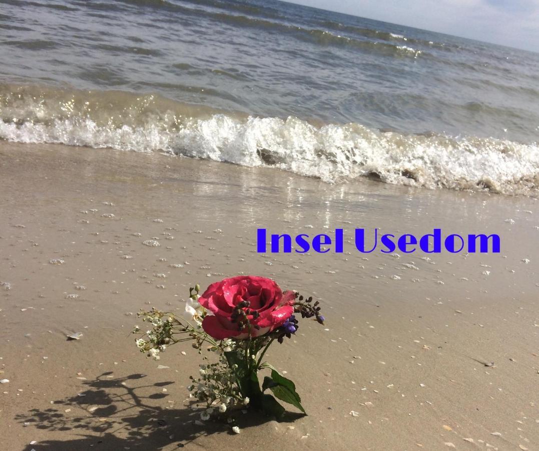 Ferienwohnung Mit Terrasse - Insel Usedom Trassenheide Eksteriør billede