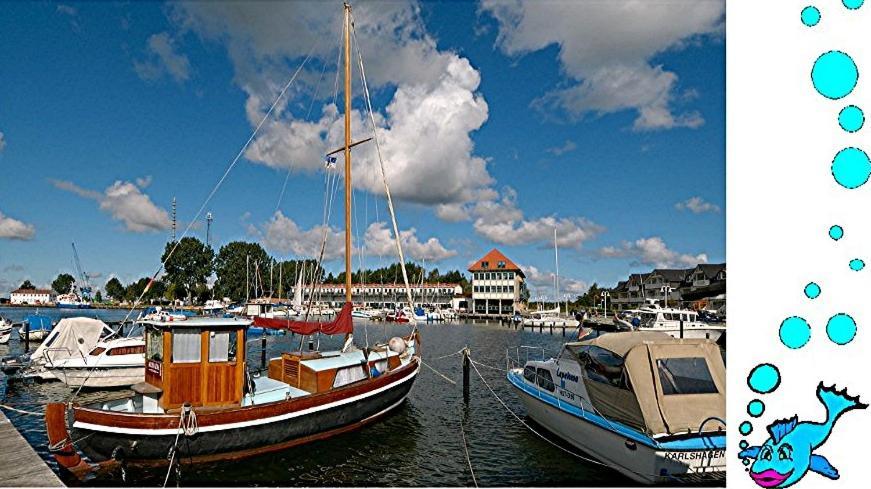 Ferienwohnung Mit Terrasse - Insel Usedom Trassenheide Eksteriør billede