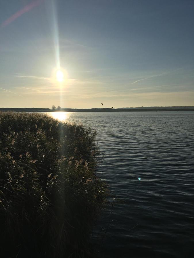 Ferienwohnung Mit Terrasse - Insel Usedom Trassenheide Eksteriør billede