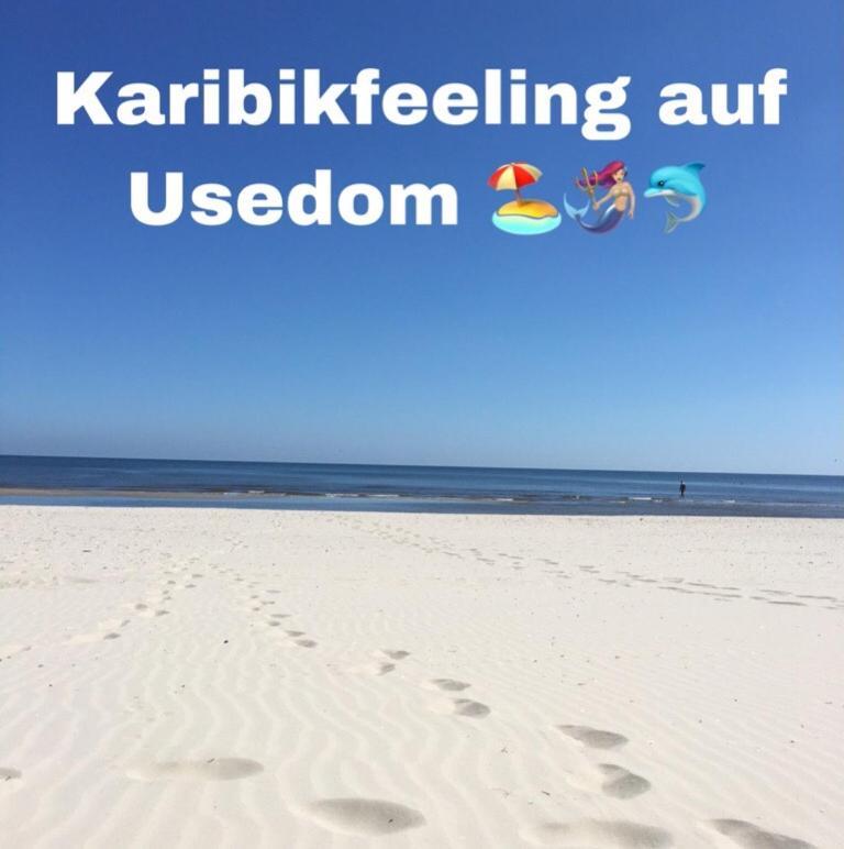 Ferienwohnung Mit Terrasse - Insel Usedom Trassenheide Eksteriør billede