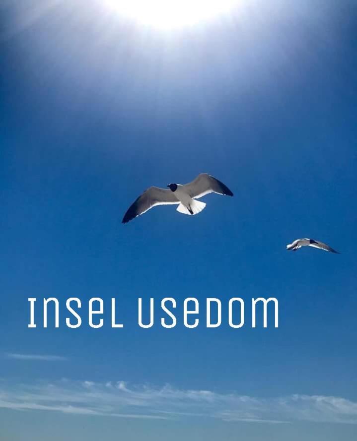 Ferienwohnung Mit Terrasse - Insel Usedom Trassenheide Eksteriør billede
